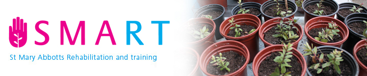 SMART: St Mary and Abbots rehabilitation and training